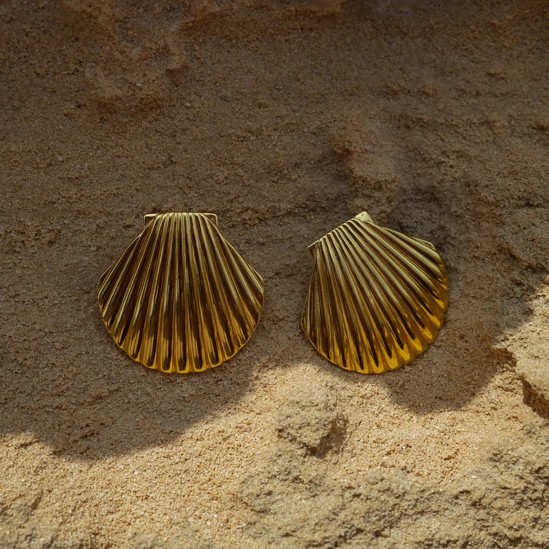 Stainless Steel Waterproof Big Textured Gold Plated Shell Earrings